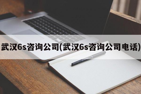 武汉6s咨询公司(武汉6s咨询公司电话)